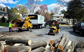 Best Utility Line Clearance  in North Boston, NY